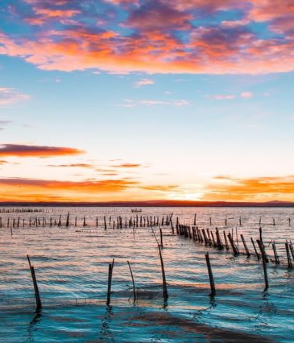 valencia-albufera 640x426